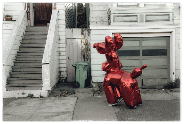 A photograph of a child in a red Jeff Koons balloon dog costume, on a sidewalk in San Francisco. The unleashed dog is sniffing around, looking at stairs and doorways of old Victorian houses. It appears to be exploring... and something has caught its interest at the top of one of the house's stairs. A package?

Dog is a porch thief.
