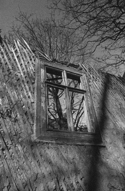 The image shows a decaying wall of an old, abandoned building with a single empty window frame still clinging to the structure. The wooden slats of the wall are exposed and weathered, creating a diagonal pattern that leads the eye toward the window. Through the window’s broken panes, leafless tree branches stretch against a pale sky, blending the ruin with the surrounding nature. The photograph has a gritty, high-contrast texture, giving it a raw, atmospheric, almost ghostly feel