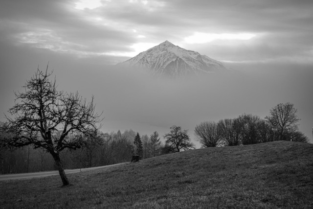 Schwarzweissfoto von einer herbstlichen Landschaft mit kahlen Bäumen. Dahinter - über dem Thunisee liegt eine dicke Nebeldecke. Ganz oben schaut eine Spitze vom pyramidenförmigen Berg Niesen raus.