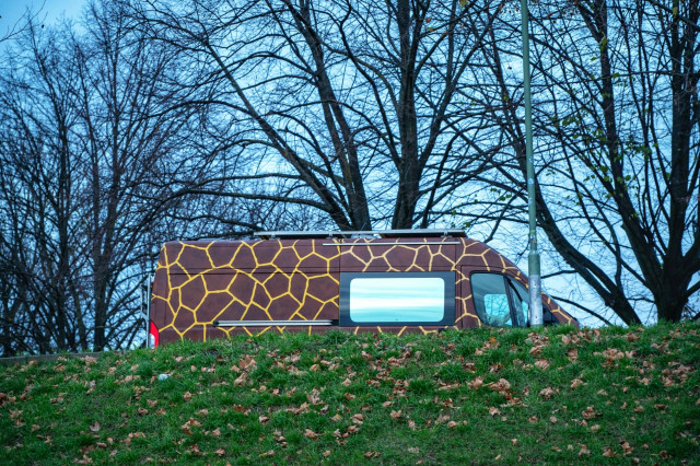 Das Bild zeigt einen Camper Van, der mit einer auffälligen Giraffenfell-Folierung versehen ist. Das Fahrzeug steht auf einem grasbewachsenen Hügel, der mit einigen Herbstblättern bedeckt ist, und im Hintergrund sind kahle Bäume vor einem bewölkten blauen Himmel zu sehen.