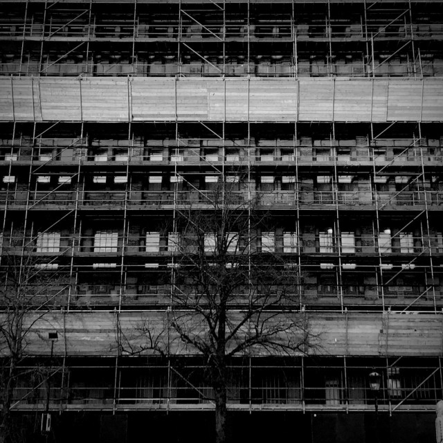 Black and white photo of an office building covered in scaffolding with a bare tree on the ground in front of it center of the frame.