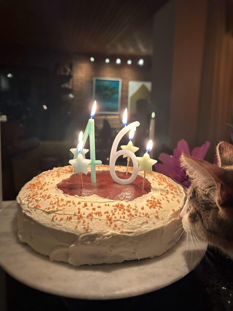 En brun och vit tårta med brinnande ljus där det står 46. Bredvid en liten nyfiken katt som sticker fram sitt huvud.