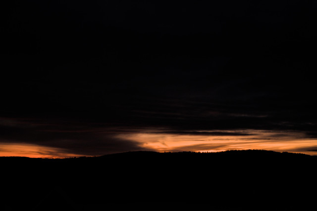 It took some effort to open the window, but I did it.