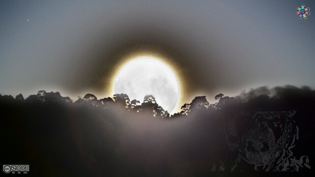 The first full moon of the year arises over the hills of the earth of our grandchildren. A creamy glimmer is surrounding him creating a heavy contrast on the blackish background of a dark starry night, while his incandescente light ignites the mist that lies in the air. The treetops of the eucalyptus that cover the hills reflect their silhouette in a harsh contrast, while the fog that lies over the grasslands covered in darkness, cushions the rising moon in it's sheets. Somehow, in the darkness of the right lower part of the landscape, the misty fog got caught in the bearded reflection of the bauhelm podcaster. The opaque copyLeft flower in the right upper corner indicates the true nature of this rising moon in the spaces reserved for our grand children.