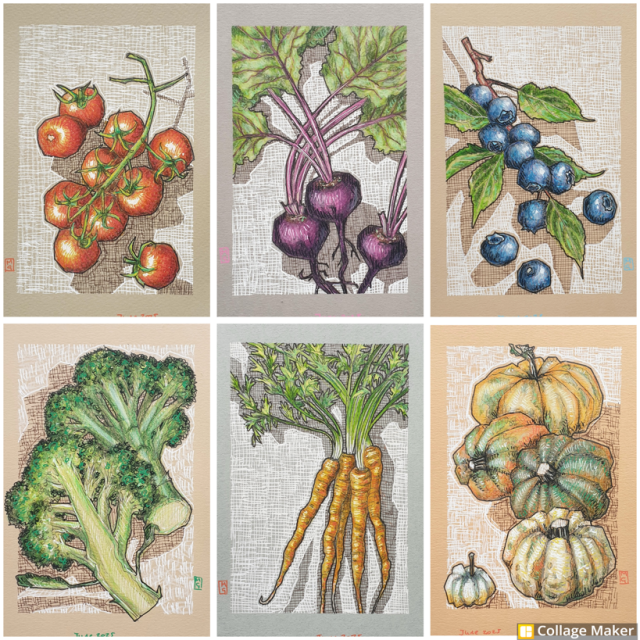 A photo collage of my fruit and vegetable drawings:
Cherry tomatoes, beetroot, blueberries, Broccoli, carrots and pumpkins
