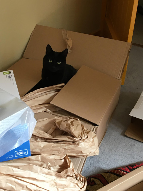 Pi finds his way into a box which had some irritating disk drive in it before I kindly removed it