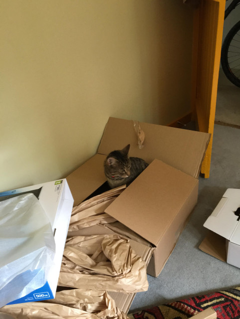 Pi has moved, Mu has taken his place on a box