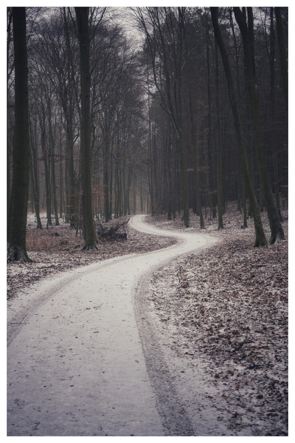 Hochformatiges Farbfoto im gedeckten Tönen. Es zeigt einen mit etwas Schnee bedeckten, gewundenen Weg durch einen kahlen Buchenwald im Winter.