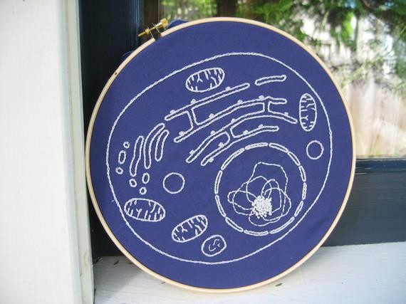 An embroidered piece in an embroidery hoop. The embroidered design is a diagram of a cell in white thread or dark blue fabric.