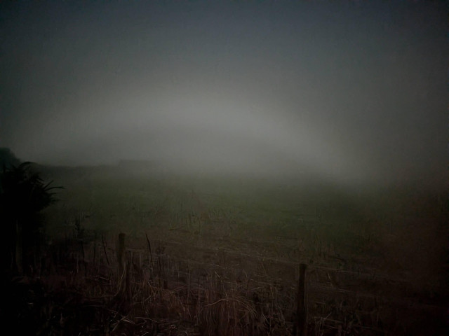 Moonlight is interacting with fine water droplets in the fog, creating a faint white arc. Tricky to photo so longer exposure to bring it out but makes the landscape look brighter than the night time dark it was.