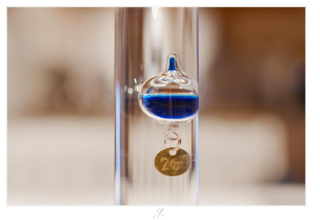 Close-up of a Galileo or also called a Galilean thermometer: inside the glass tube, one teardrop-shaped glass element floats in the vertical center of the image, half filled with a blue liquid. A small round gold plate is attached to the element with a ring at its lower end. An engraving on the plate reads "26°". The background is blurred and consists of soft cream and brown colors.

AI disclaimer: Using my work, its meta data, written or derived description to create media with or train AI based systems is prohibited.