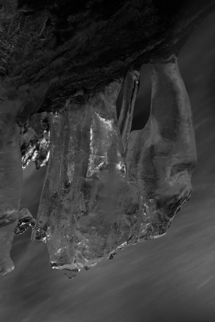 A vertical image of icicles hanging under a rock by a stream. At the top part of the rock is visible and behind it all the water is running smoothly by. The image is black and white. 