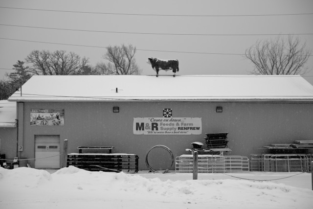 Cow's on the roof again, Earl.