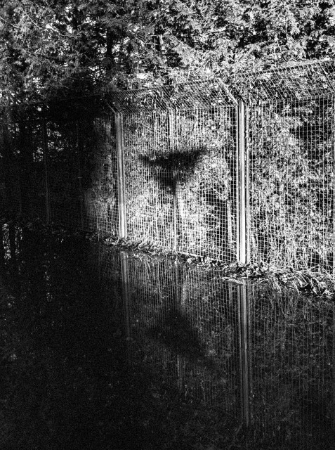 Here is a corrected version of the description:

The image is a high-contrast black-and-white photograph showing a wire fence illuminated by a strong, directional light. Dense foliage grows behind the fence, and on its surface falls a sharp, triangular shadow cast by a road sign just outside the frame. Below, a large pool of still water mirrors the entire scene, repeating both the fence’s vertical lines and the distinct triangular silhouette. The lower half of the image fades into deep darkness, giving the photograph an eerie, atmospheric quality where reflections and shadows dominate the composition.
