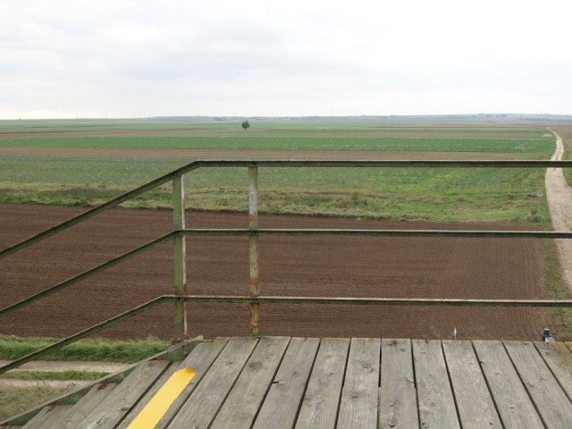 Blick von einem alten Übergangssteg mit Holzboden auf herbstliche Felder in Grün- und Brauntönen
