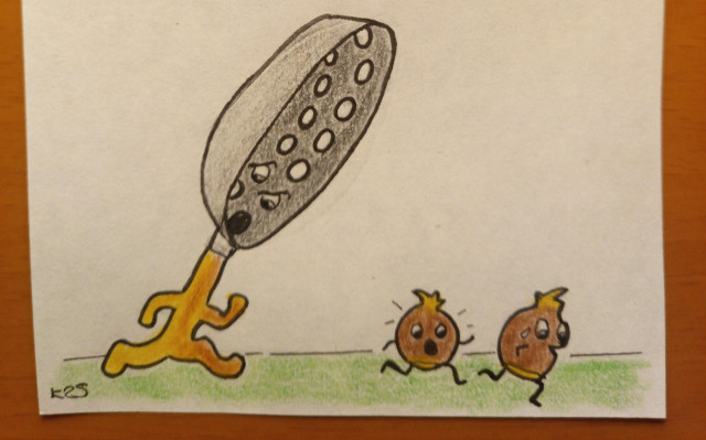 Cartoon drawing of a chestnut roasting pan with arms and legs and a face from the holes is chasing two chestnuts with faces and arms and legs. The chestnuts look scared.