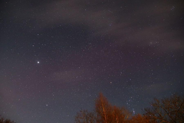 A Starry night sky with some thin clouds at the upper right half. At the bottom some tree tops and part of SAR (Stable Aurora Red Arc), on the south side of the sky.