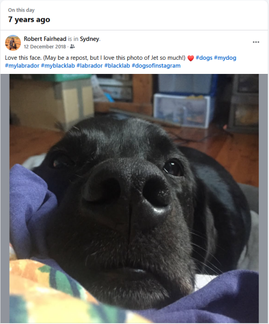 A screenshot of a timeline memories post from 7 years ago of my black lab Jet resting his muzzle on the bed beside me and staring at me. I comment in the post how I love his face.
