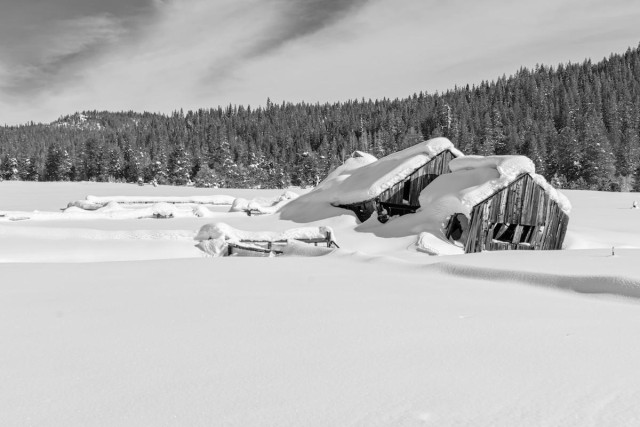 A black and white landscape photo of an old falling down wood barn covered in several feet of snow. The falling down building is on the right side of the image in a flat plain of snow. In the background is a low hill on the left that rises and gets taller as it sweeps to the right. It is covered in conifer trees. The sky is streaked with clouds with a little clear sky, that's dark from using a red filter, on the left.