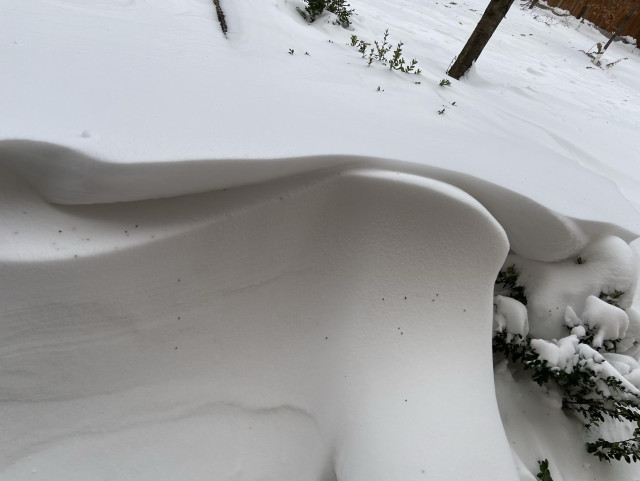 Snow that has been sculpted by the wind into two lovely waves that look like an upper and lower lip of a smiling character about to take a bit of something delicious. 