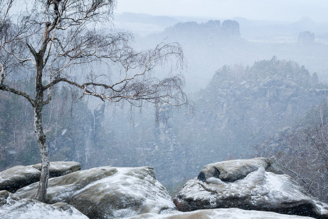 Ausblick vom Carolafelsen im Elbsandsteingebirge bei Schneefall.