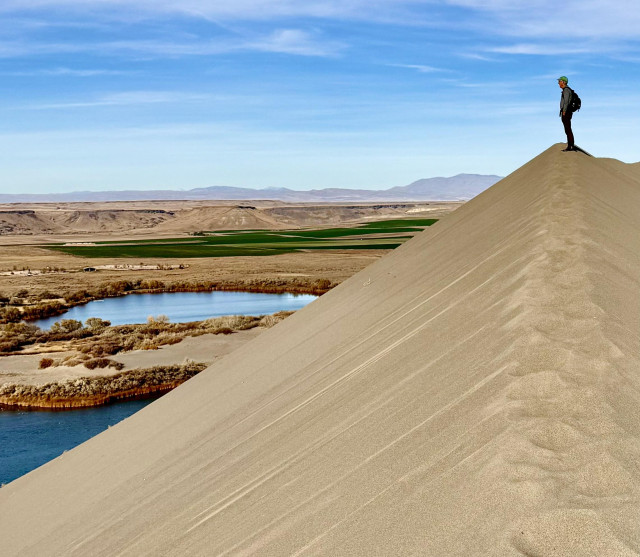 Photo of hiker standing on ridge of sand dune while looking out over valley. Small lakes seen at base of dune and other smaller dunes seen farther away. Mountain range at horizon. Blue sky overhead.


I took this photo last month while hiking in the Bruneau Dunes State Park, Idaho. The hiker in the pic is a family member who I was hiking with. 