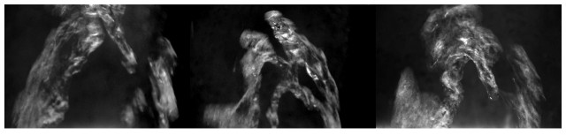 A triptych of three images of water splashing, making some sort of story about a girl and her inner monster. The images are black and white and put on a white background to frame them. 