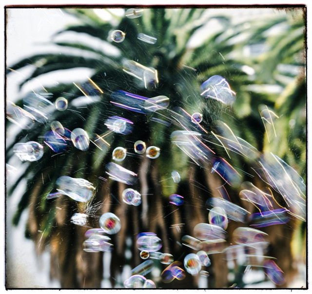 A few dozen bubbles fly through the air... bubbles with jewel tone colors and streaks of light trails created as their reflections travel quickly across the photo. Some of the bubbles have burst: you can see the water droplets splat - mini explosions without screams. This is what bubble warfare must be like.

And yes yes, there's a tree in the background of this photo. A palm tree. This is unusual for me to include a tree in a photograph. My apologies. I'll try not to do that again.