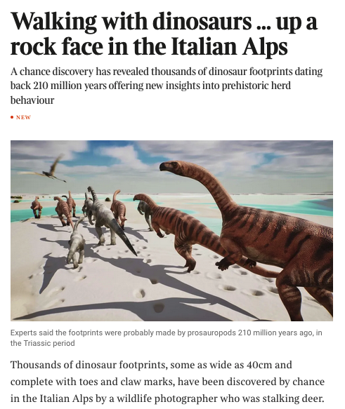 An image of a crowd of dinosaurs leaving footprints in the mud which then solidified and skewed through 90 degrees to create the cliff.

Text reads

Walking with dinosaurs … up a rock face in the Italian Alps
A chance discovery has revealed thousands of dinosaur footprints dating back 210 million years offering new insights into prehistoric herd behaviour

Thousands of dinosaur footprints, some as wide as 40cm and complete with toes and claw marks, have been discovered by chance in the Italian Alps by a wildlife photographer who was stalking deer.
The footprints cover a near-vertical rock face in a remote snowy part of Stelvio national park in the Lombardy region, which will host the 2026 Winter Olympics.