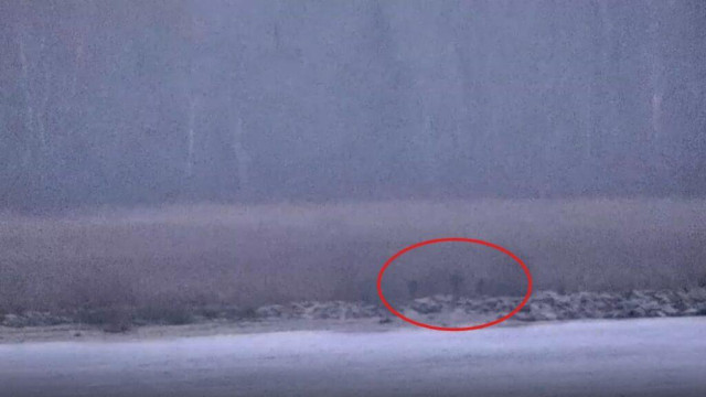 Video zeigt Vorfall: Russische Grenzschützer übertreten Grenze zu Estland