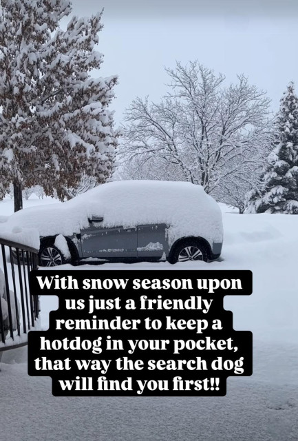 "With snow season upon us just a friendly reminder to keep a hotdog in your pocket, that way the search dog will find you first!!"
Photo of a snowy landscape with the car buried in snow in the foreground. 