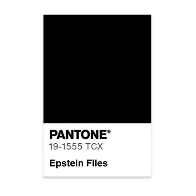 screenshot of a black square labelled PANTONE 19-1555 TCX - Epstein Files 