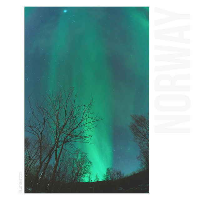 11mm shooting through to birch