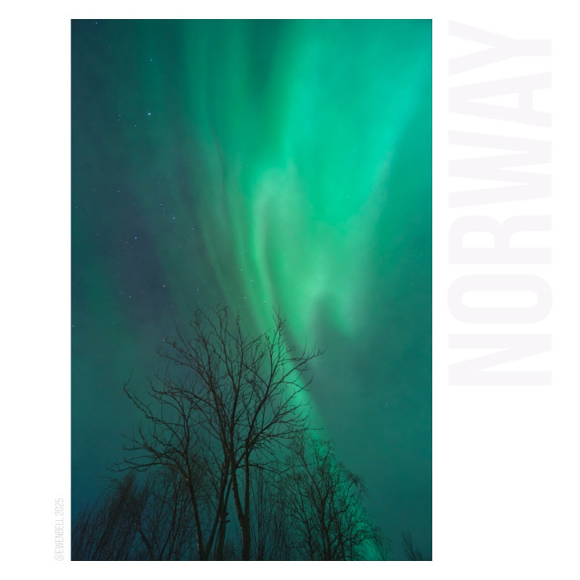 Same tree and scene, but this time at 14mm