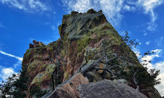 Looking up at the base of a large sandstone rock formation covered in bright green and grayish green lichens, a gnarled and twisted pine tree growing out of the rocks near the base, with blue skies dotted with a few clouds above in the background.