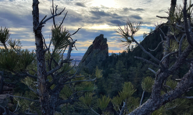 Another view of the uptilted Third Flatiron visible through the branches of a small pine tree growing out of some rocks, with a mostly cloudy sky in the background, the edges of the clouds lined with light from the hidden Sun.
