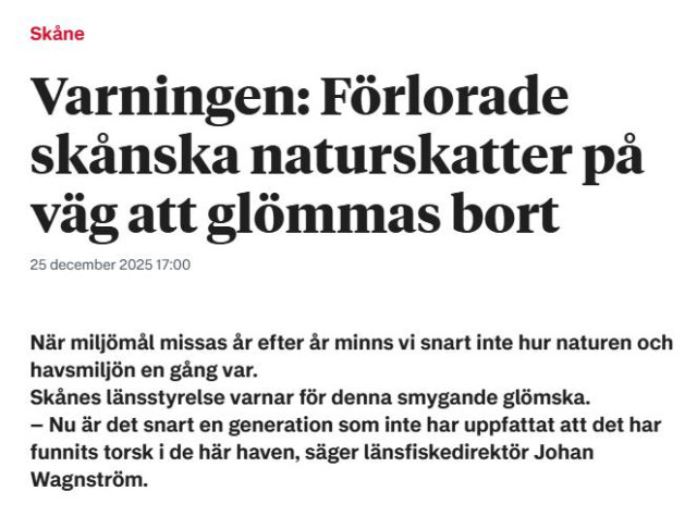 Tidningstext:
Varningen: Förlorade skånska naturskatter på väg att glömmas bort
25 december 2025 17:00

När miljömål missas år efter år minns vi snart inte hur naturen och havsmiljön en gång var.
Skånes länsstyrelse varnar för denna smygande glömska.
– Nu är det snart en generation som inte har uppfattat att det har funnits torsk i de här haven, säger länsfiskedirektör Johan Wagnström.