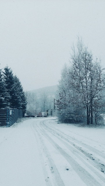 A wintry road, trees left and right. A rusty gate right ahead.