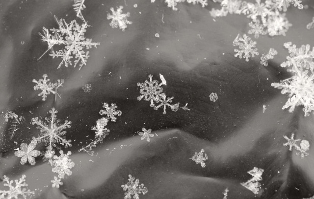 Macro photograph in black and white with a slight sepia tint of silver white snowflakes on a black surface.
 
Photographie macro en noir et blanc avec une légère teinte sépia de flocons de neige argent et blanc sur une surface noire.