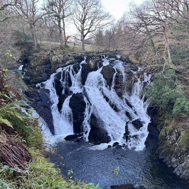Swallow Falls near Betws-y-Coed (pronounced Bett-uhs  Ee  Coyed) in Wales. A large river cascade which plunges 40 metres over boulders. This is the top tier. White water gushes left and right of large boulders creating a black and white lacework effect. Steep banks line either side of the river and are covered in moss, ferns and bare winter branches.