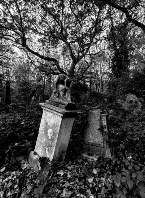 Monochrome photo of two large gravestones, one tilting this way, the other that on leaf-strewn ground. Behind them are more graves being subsumed by vegetation. In the background straggling trees spead across a blank sky.
