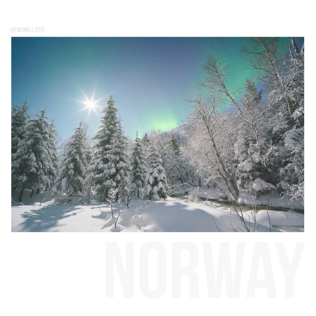 Snowy forest scene with pine trees to one side an d birch to the other. The moon shines bright from behind the tallest pine tree, and auroras paint green hues all over the sky.