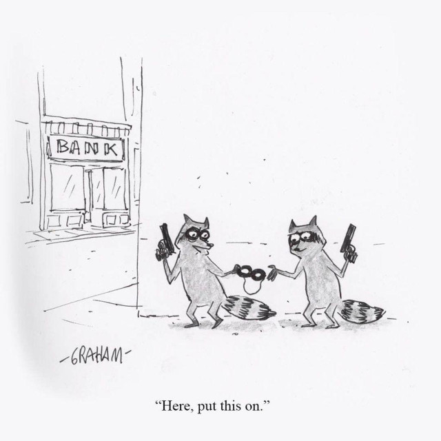 A cartoon illustration of masked raccoon handing a mask to another raccoon as they prepare to rob a bank across the street. Caption reads "Here, put this on."