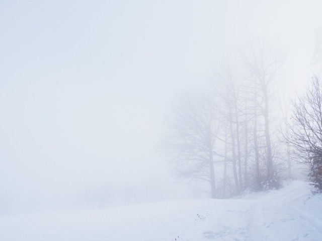 Snowy foggy landscape around the Semmering, lower austria