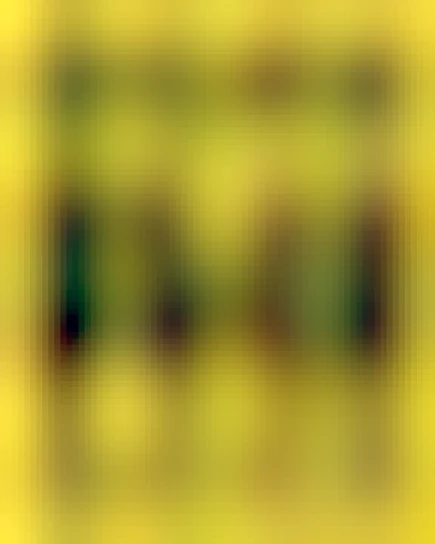 EMERGENCY DAY OF ACTION
NO WAR ON VENEZUELA
STOP THE BOMBINGS NOW

75+ US CITIES