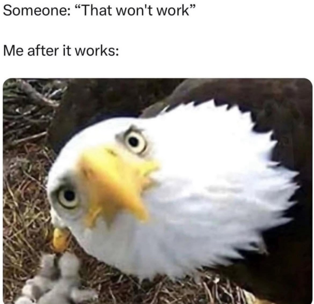 A meme featuring a close-up, wide-angle photo of a bald eagle's face looking directly and intensely into the camera lens. The text at the top reads: Someone: "That won't work" / Me after it works: