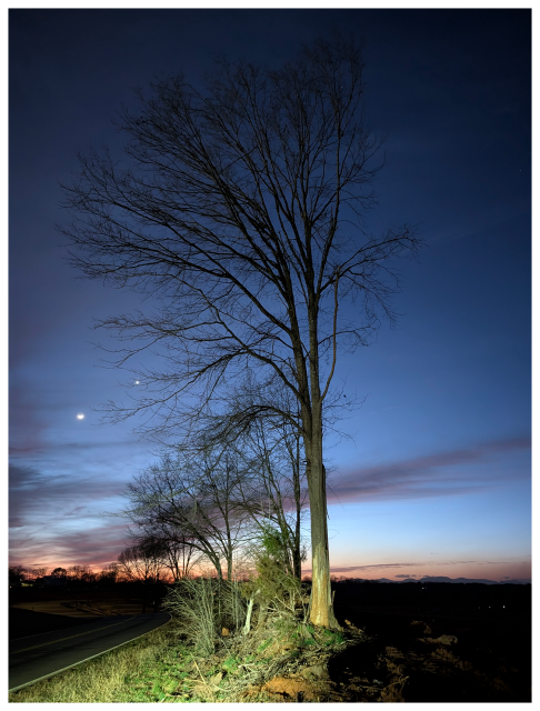 Tall leafless trees stand near a rural roadside at twilight. The sky fades from deep blue to orange at the horizon, with a crescent moon and bright planet visible. The scene is illuminated, highlighting the trees against the dim evening sky.