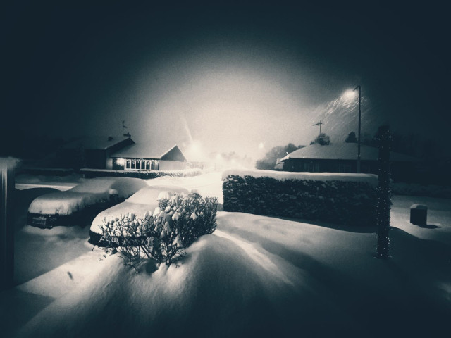 Snowstorm in the night. Taken out the window, a front garden, a road and two over snowed cars can be seen in the street lights.