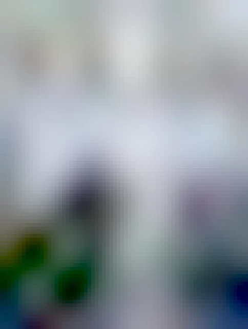 En svart katt sitter framför ett snölandskap där en gång skottats fram och spejar