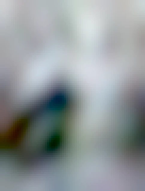 En svart katt sitter framför ett snölandskap där en gång skottats fram. Katten är vänd mot kameran.